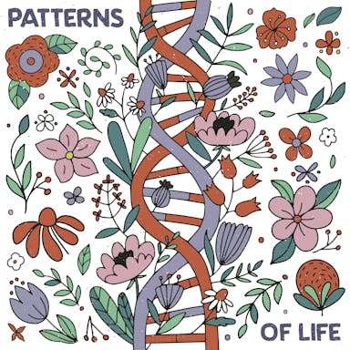 Patterns Of Life album artwork