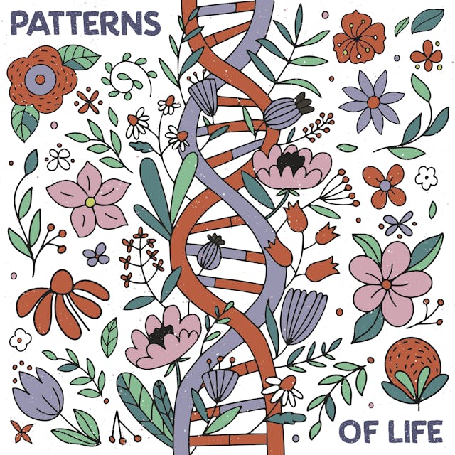 Patterns Of Life