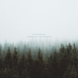 Wandering Through The Woods album artwork