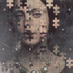 Puzzles And Predicaments album artwork