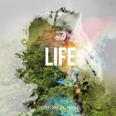 Life album artwork