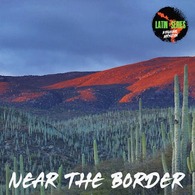 Near The Border album artwork