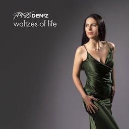 Waltzes Of Life album artwork